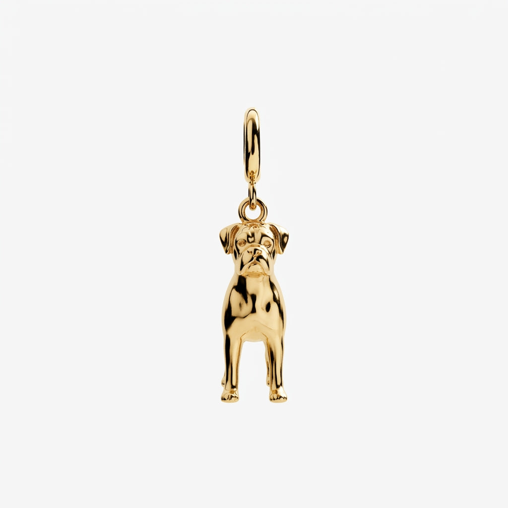 Design Your Own Pet Charm
