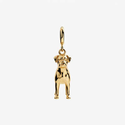 Design Your Own Pet Charm