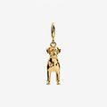 Design Your Own Pet Charm