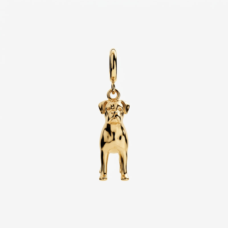 Design Your Own Pet Charm