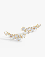 Curved Climber Earrings