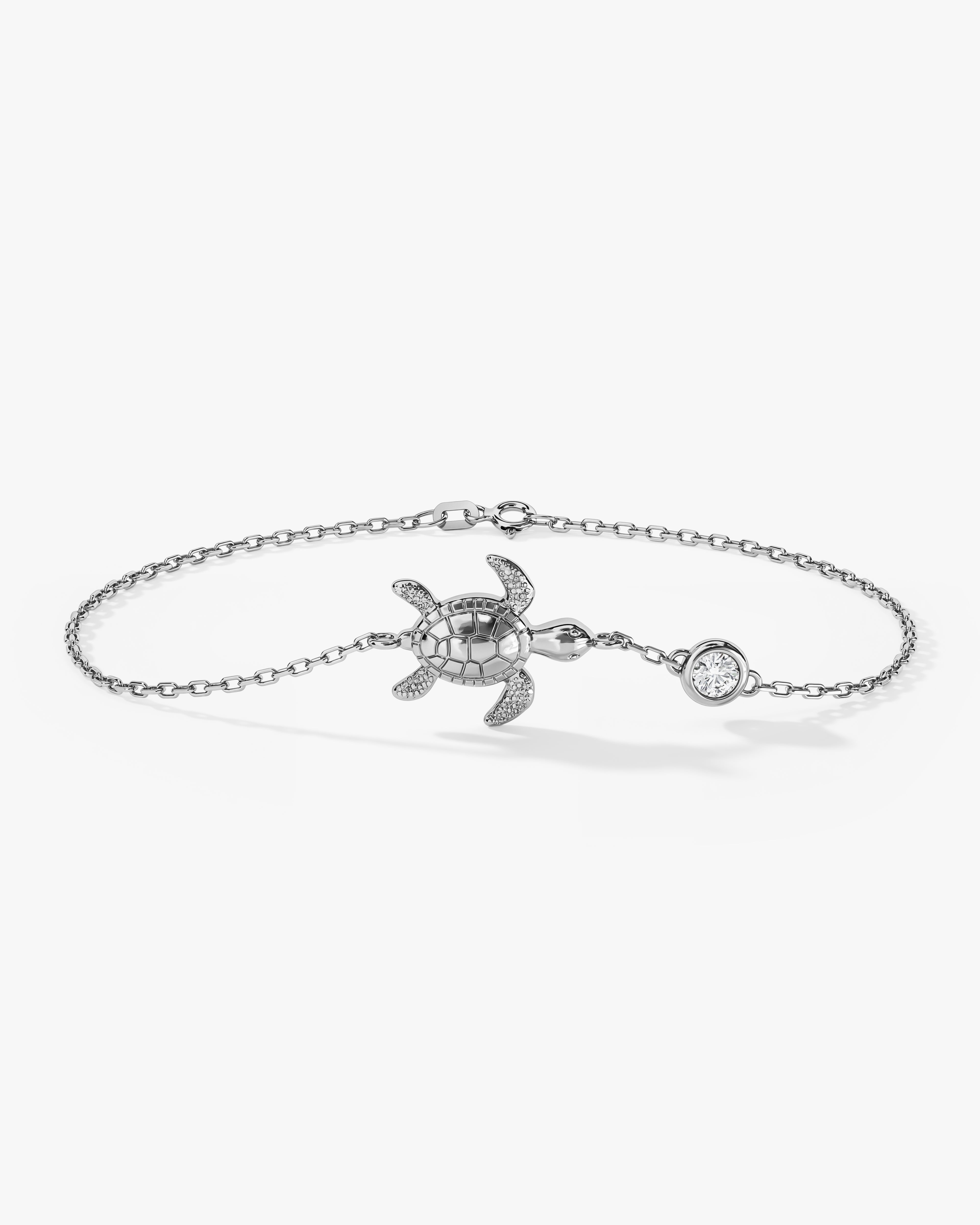 EBR0000244-WHITE