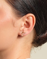 Wing Earrings