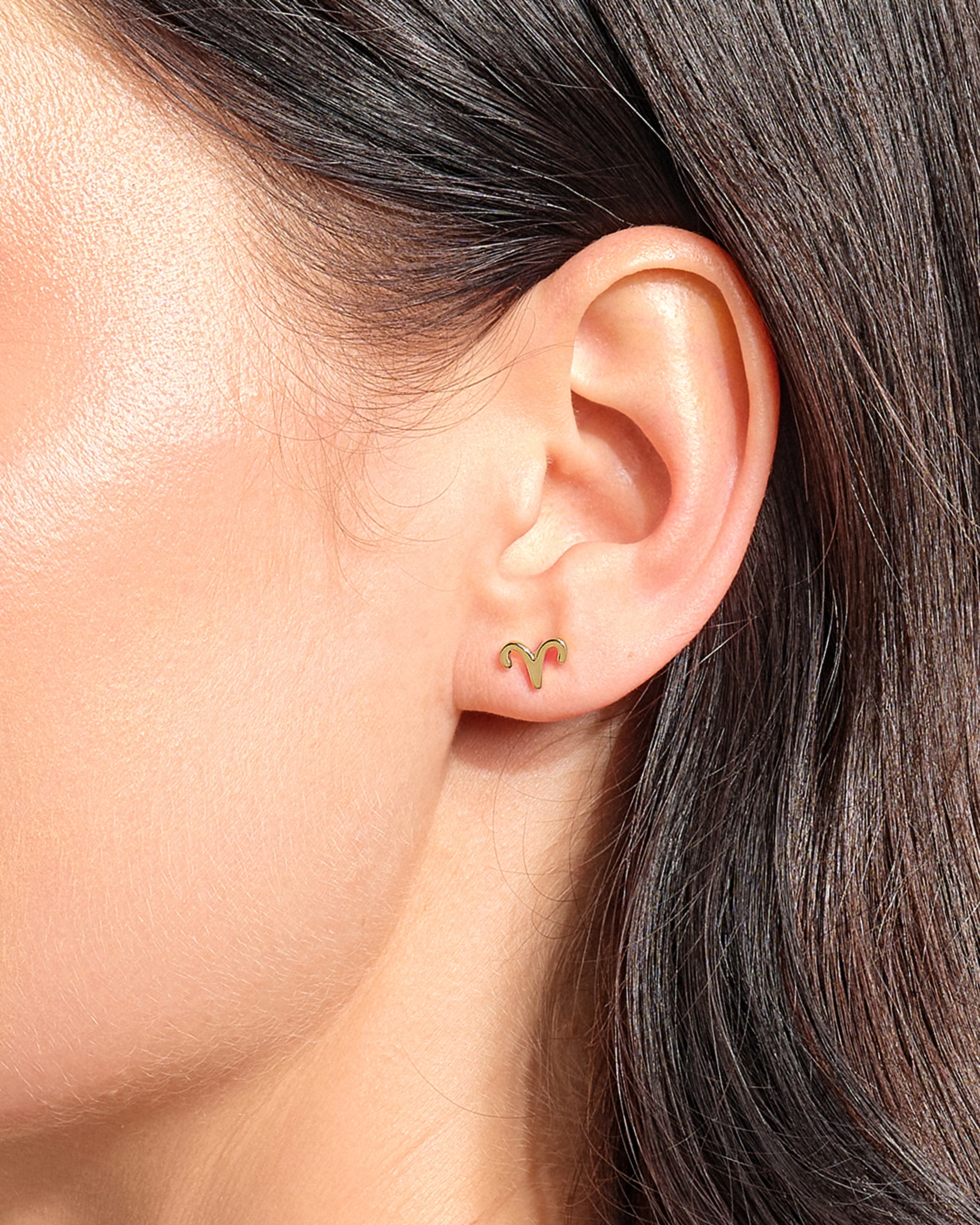 Zodiac Stud Earrings