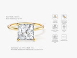Princess Cut Solitaire Moissanite Engagement Ring (3.00 CT)