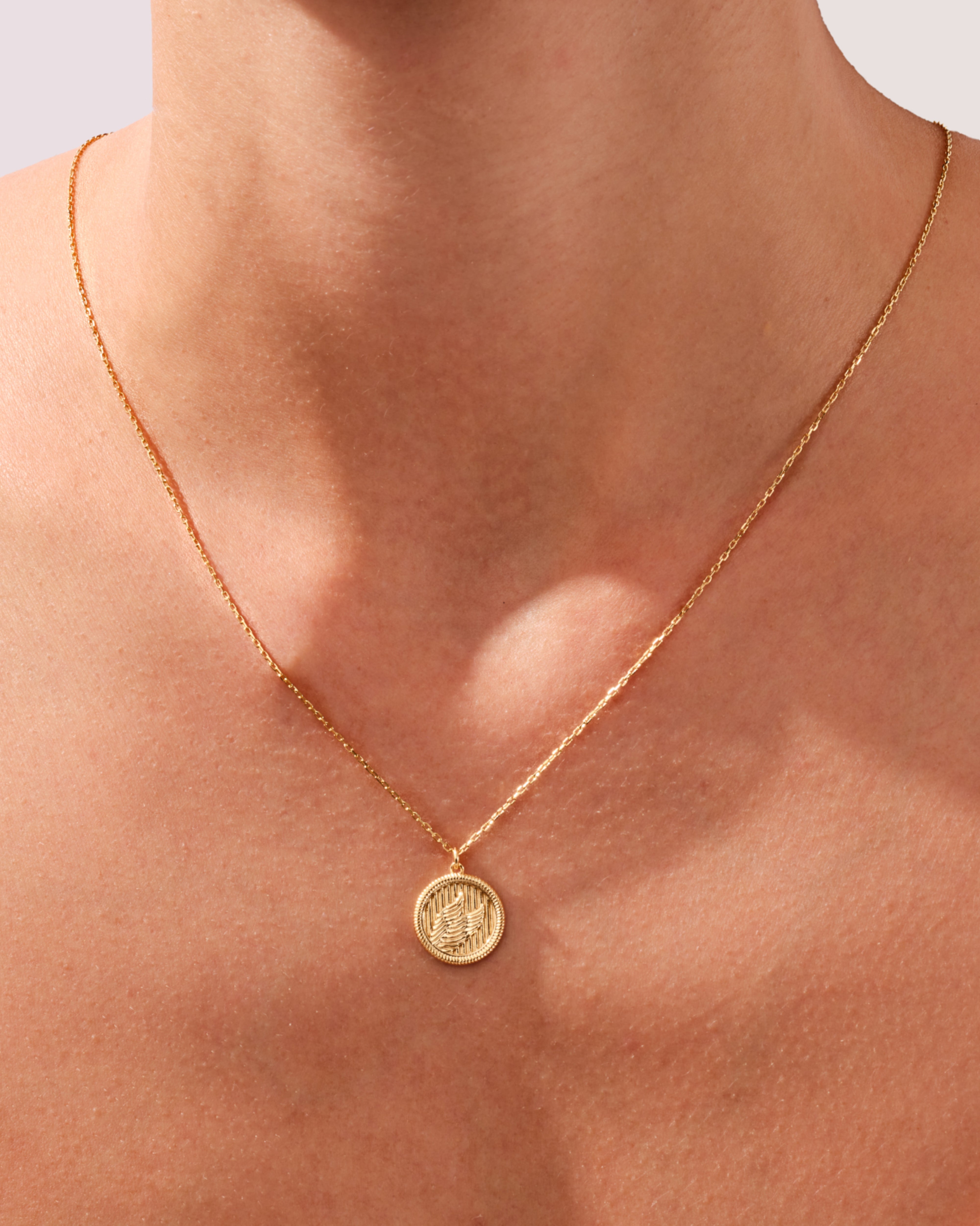 Wings Coin Necklace