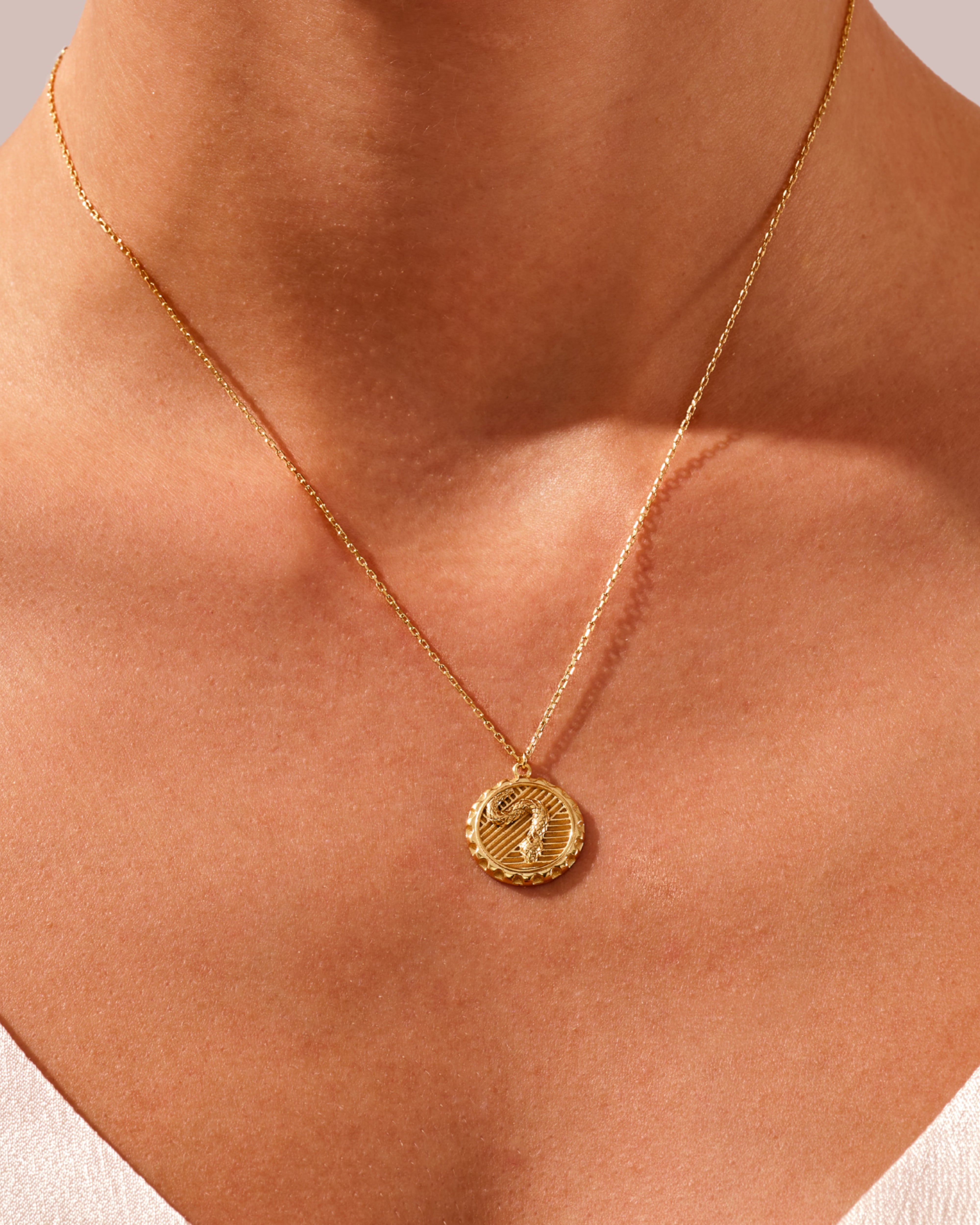 Snake Coin Necklace