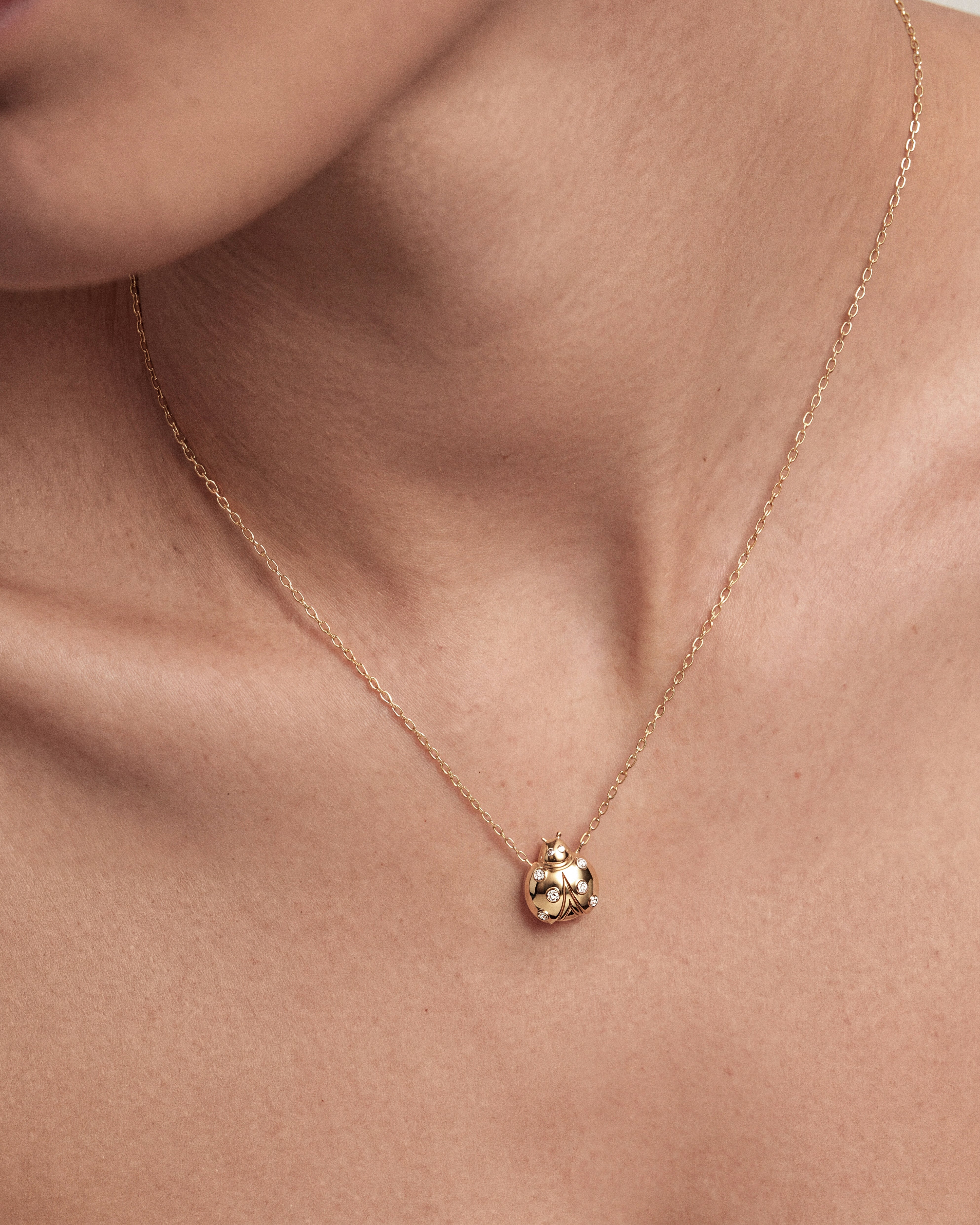 Ladybug Necklace