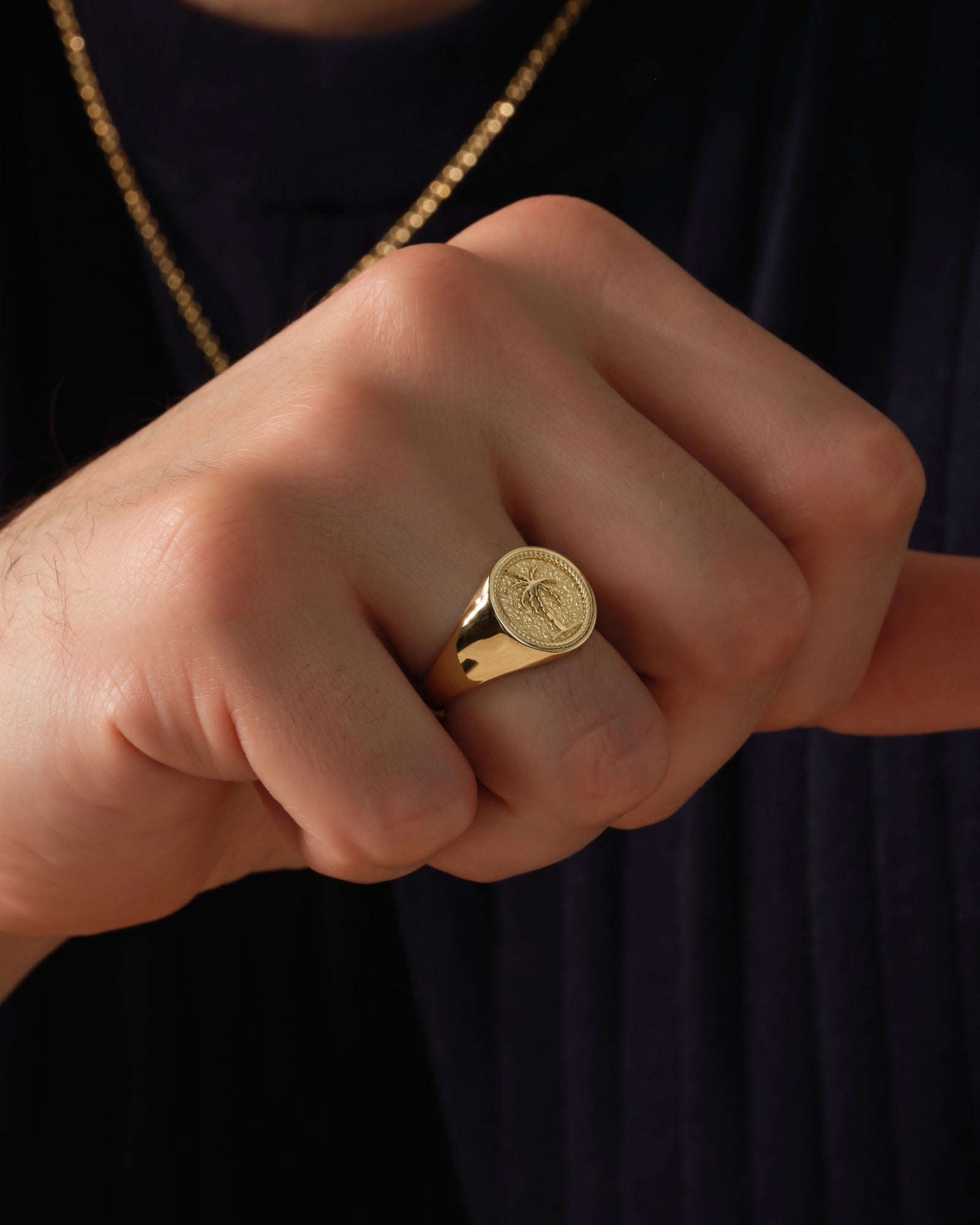 Men's Palm Tree Signet Ring - Gold Vermeil | Eternate