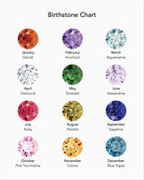 Birthstone Circle Studs