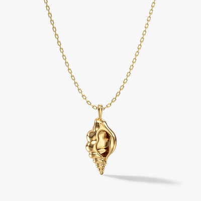 Conch Shell Necklace