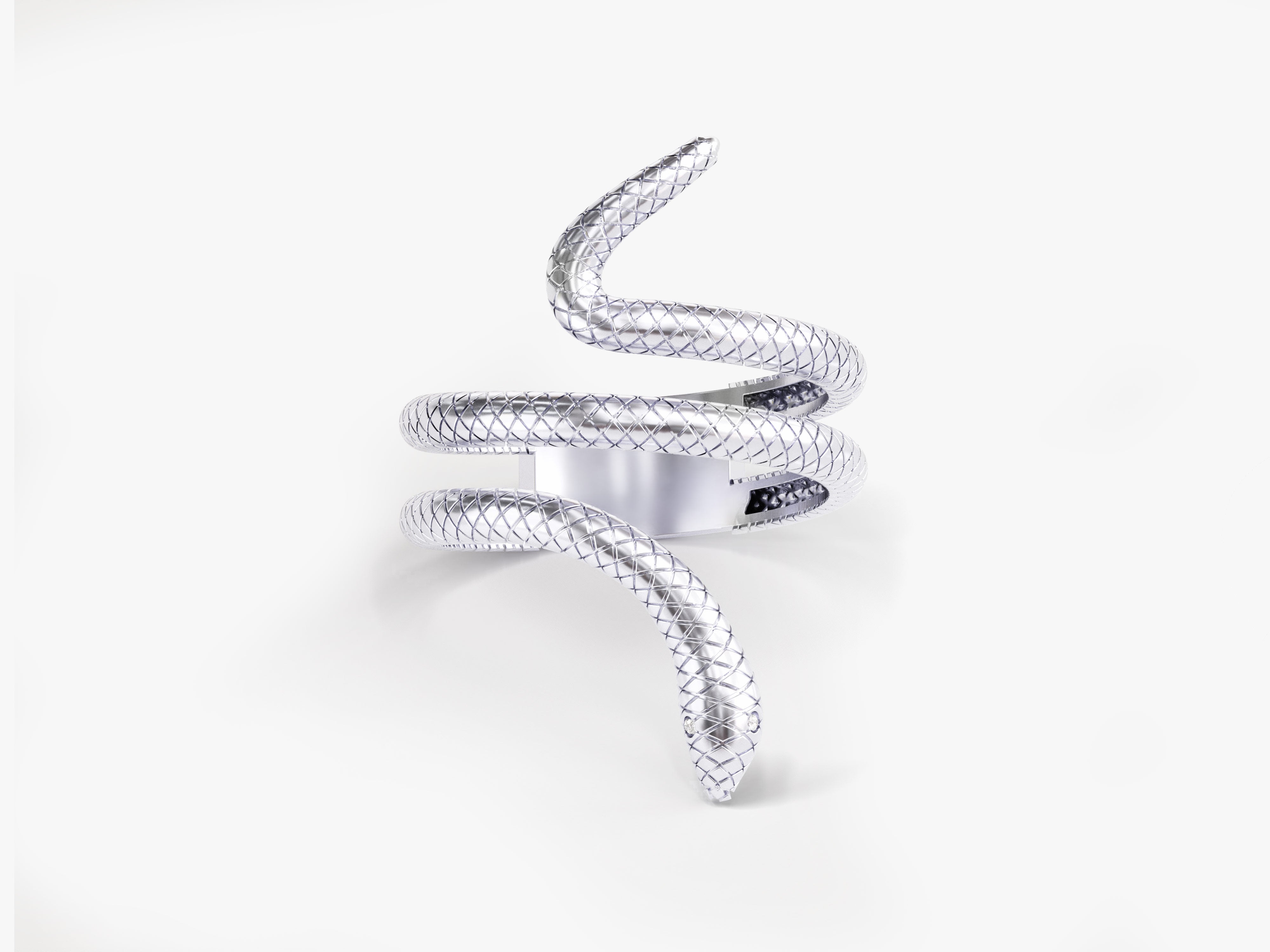 Silver snake ring jewelry, detailed texture, elegant design